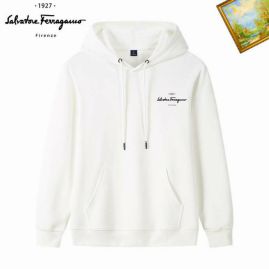 Picture of Ferragamo Hoodies _SKUFerragamoM-3XL25tn0210676